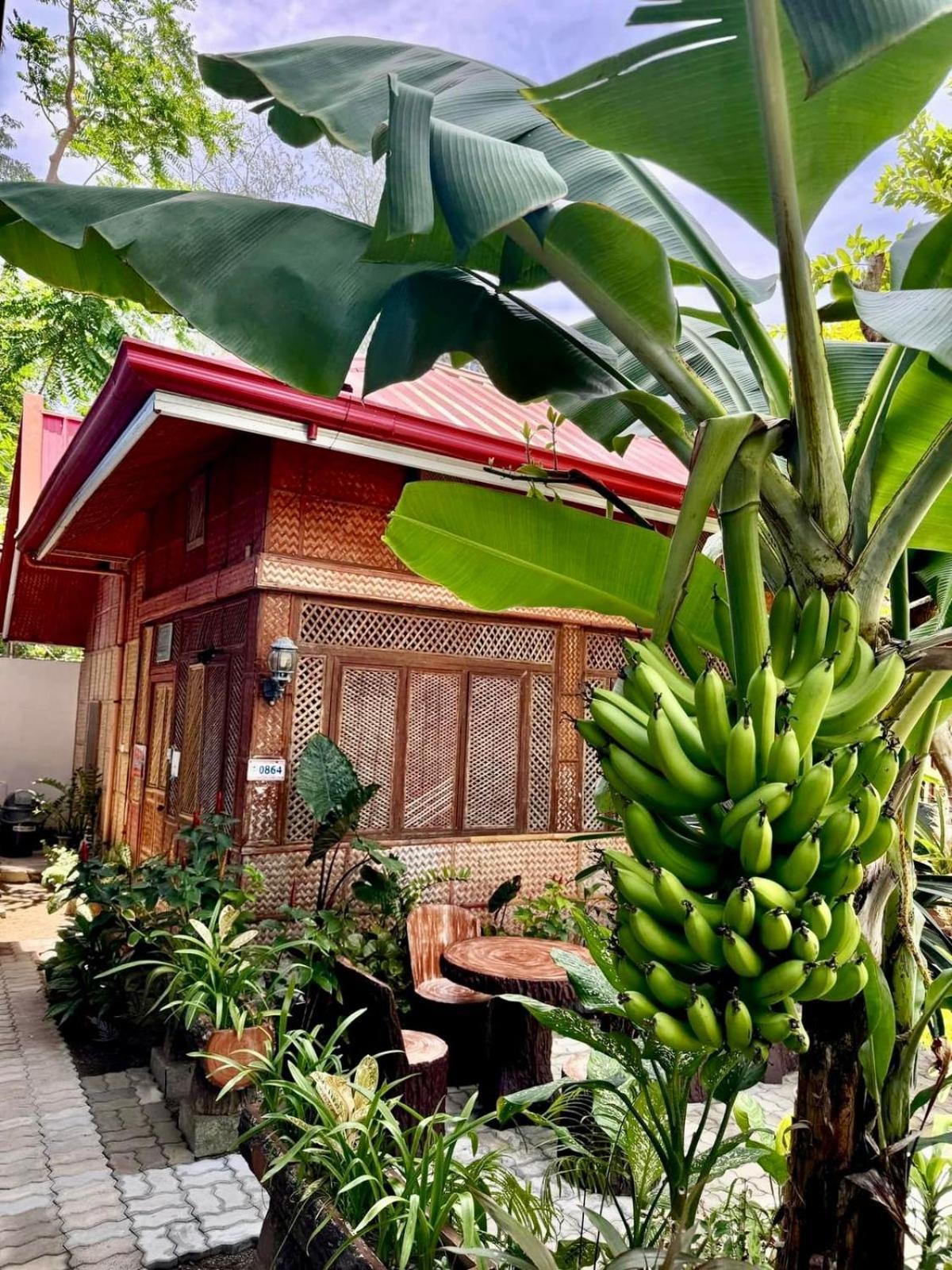 Ocean Breeze Inn Manoc-Manoc 외부 사진